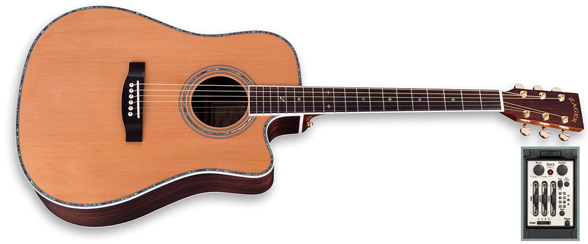 Zager Guitars Zager Easy Play Custom Guitars