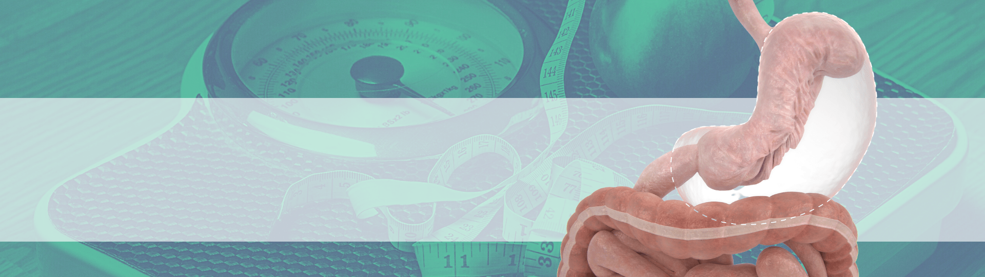 Endoscopic Sleeve Gastroplasty (ESG) Mr Zaher Toumi Weight Loss