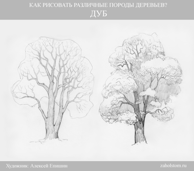 как нарисовать зеленое дерево