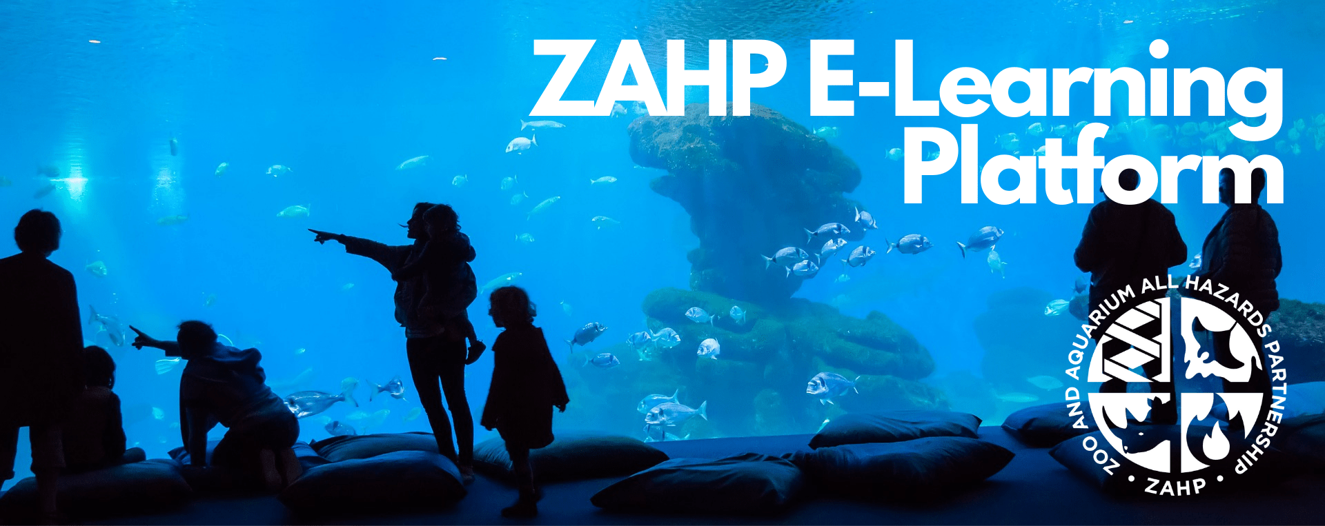 ZAHP Launches New ELearning Platform Zoo and Aquarium