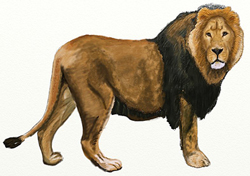 как нарисовать мультяшного животного