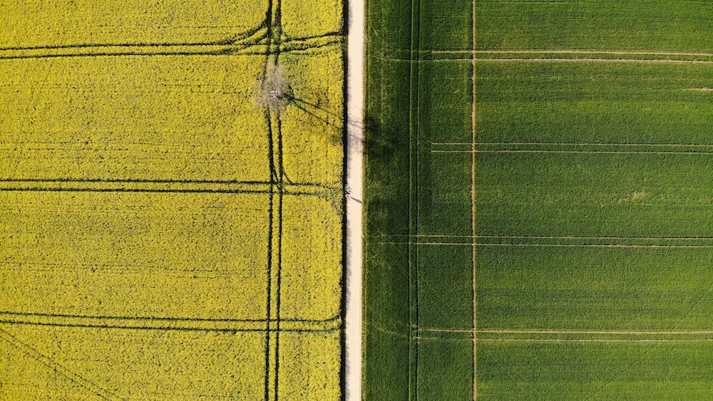 Blame Vs Responsibility: Empowerment Through Accountability