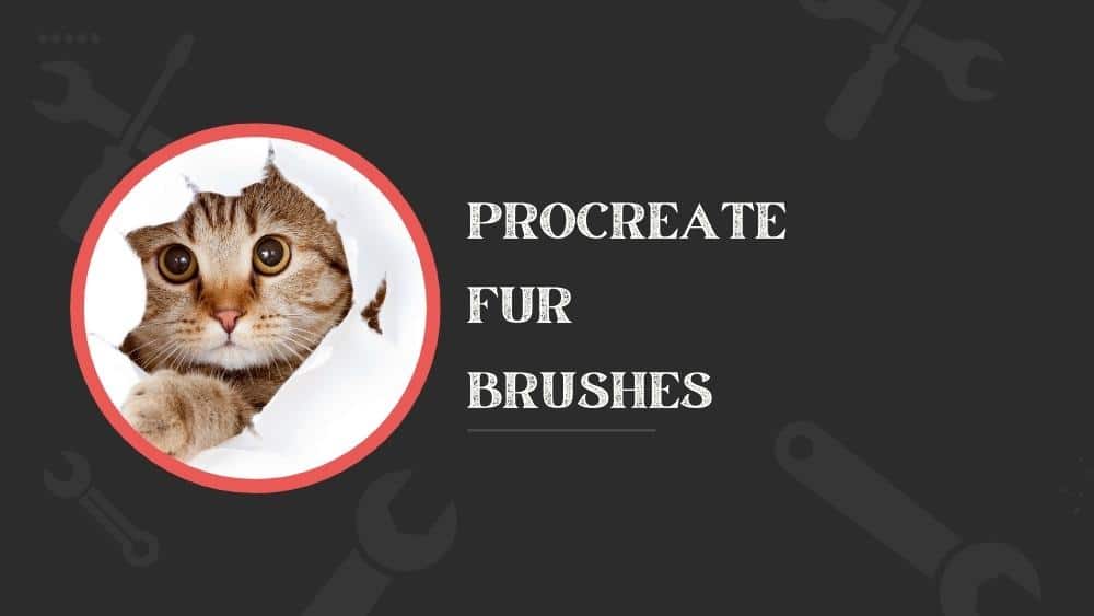 9 Best Procreate Fur Brushes in 2024 (+ Free Fur Brush)