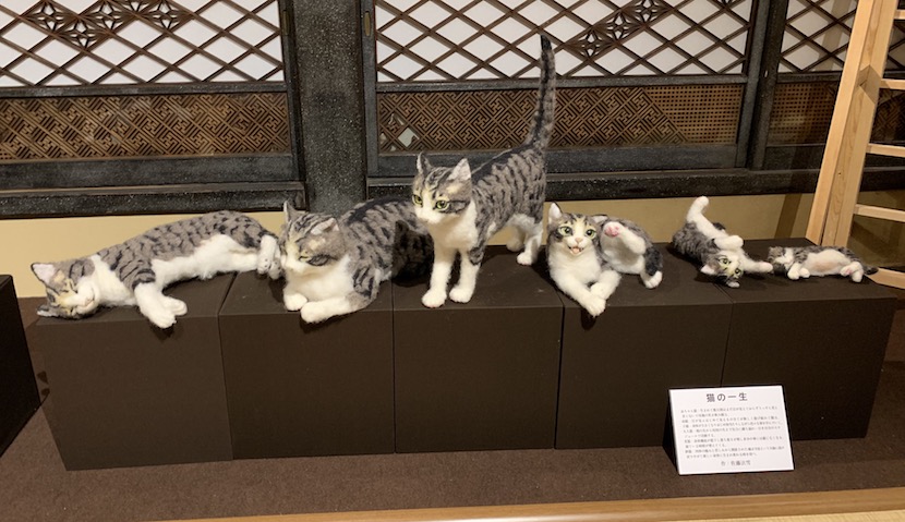 展示 福ねこ展19 猫都のアイドル展at百段階段 で気づいたアイドルとアルカイク スマイルの関係性 ざっくりまとめました