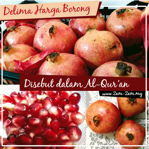 10 Khasiat Dan Kelebihan Buah Delima Pengedar, Pemborong & Pembekal