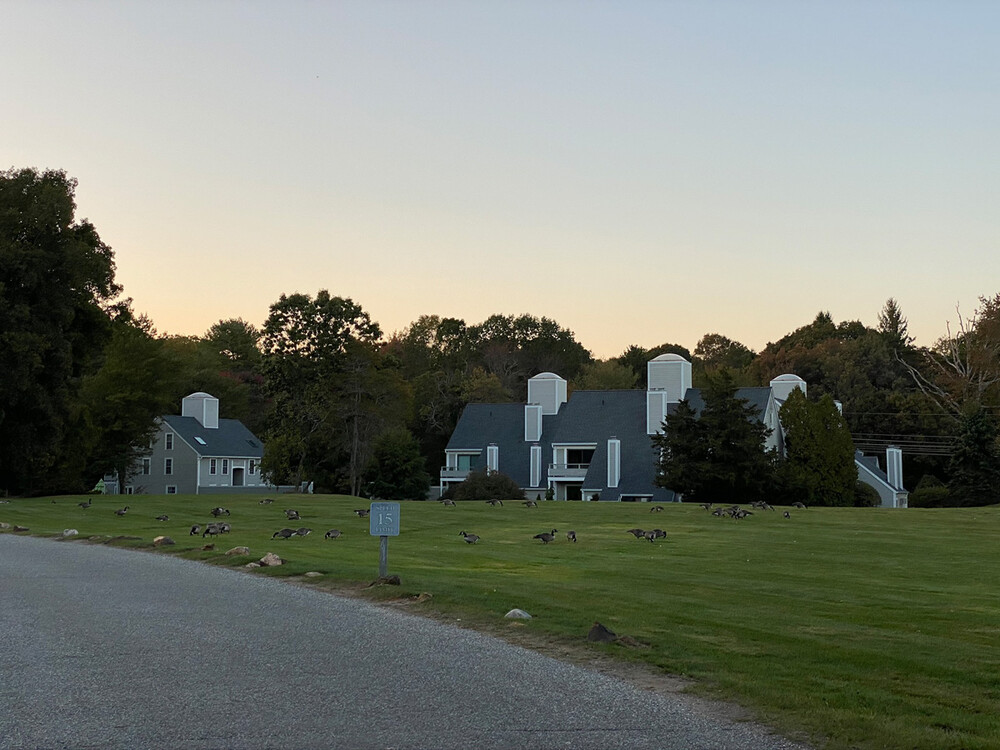 River Colony Condominium Complex CT Roof Replacement and Repair