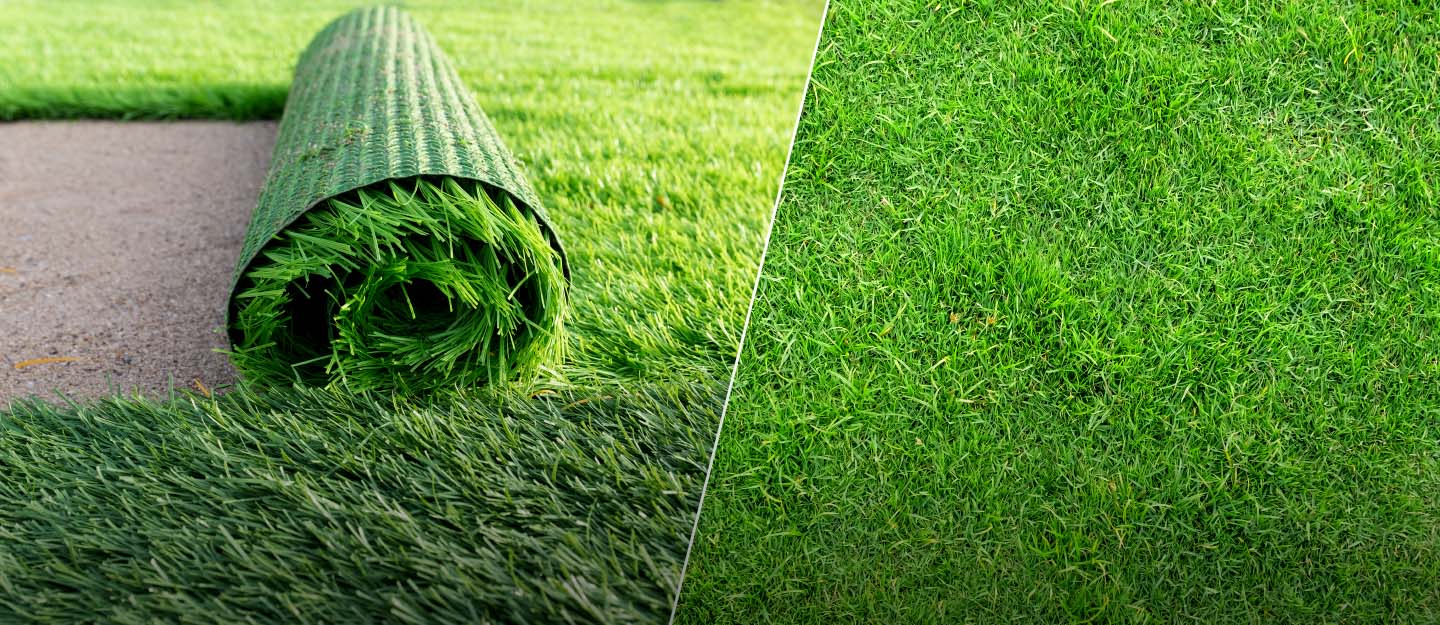 Real Grass Vs Artificial Grass Cost at Gloria Pulver blog