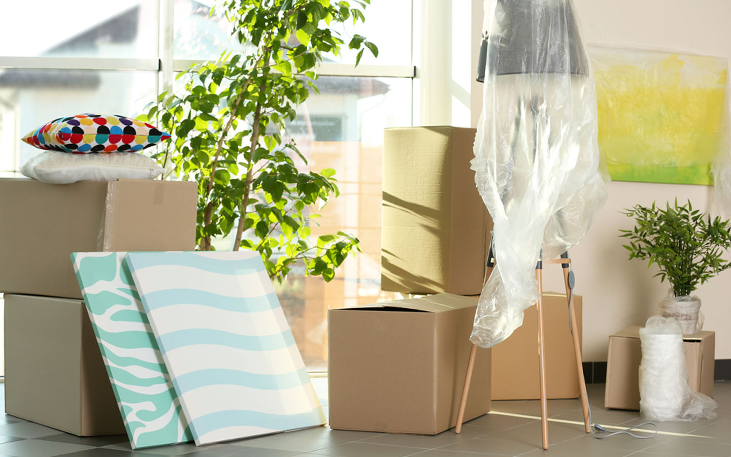 Order of Packing for a Move Room by Room Zameen Blog
