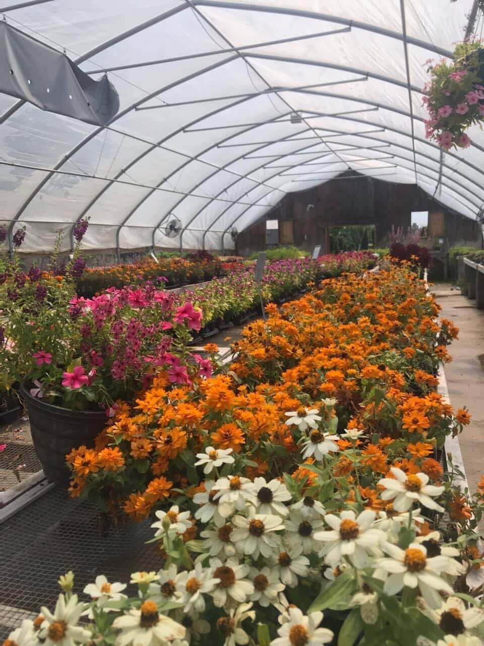 Green House / Nursery The Garden Center