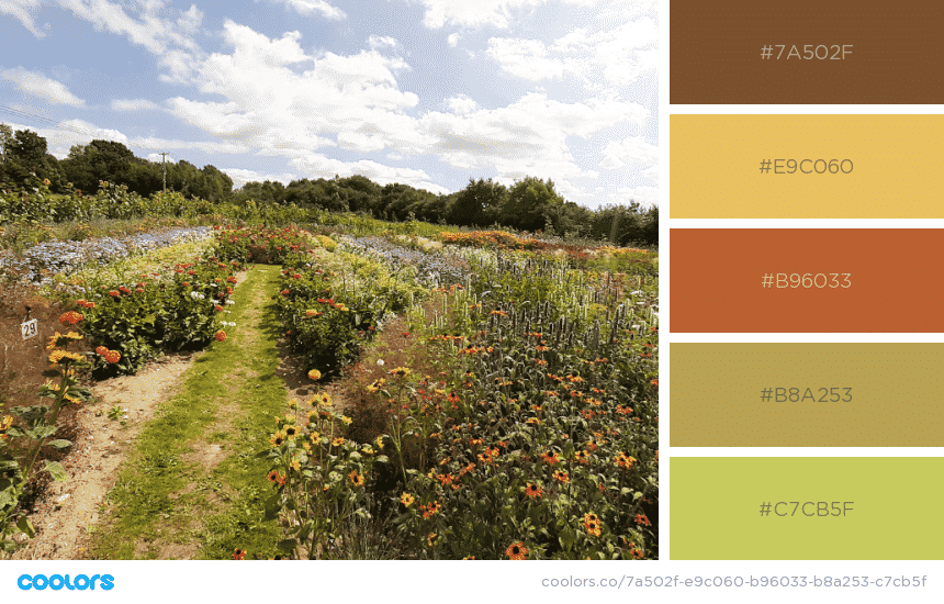 The Color Brown Meaning in Branding 2020 (& What Colors Make Brown)