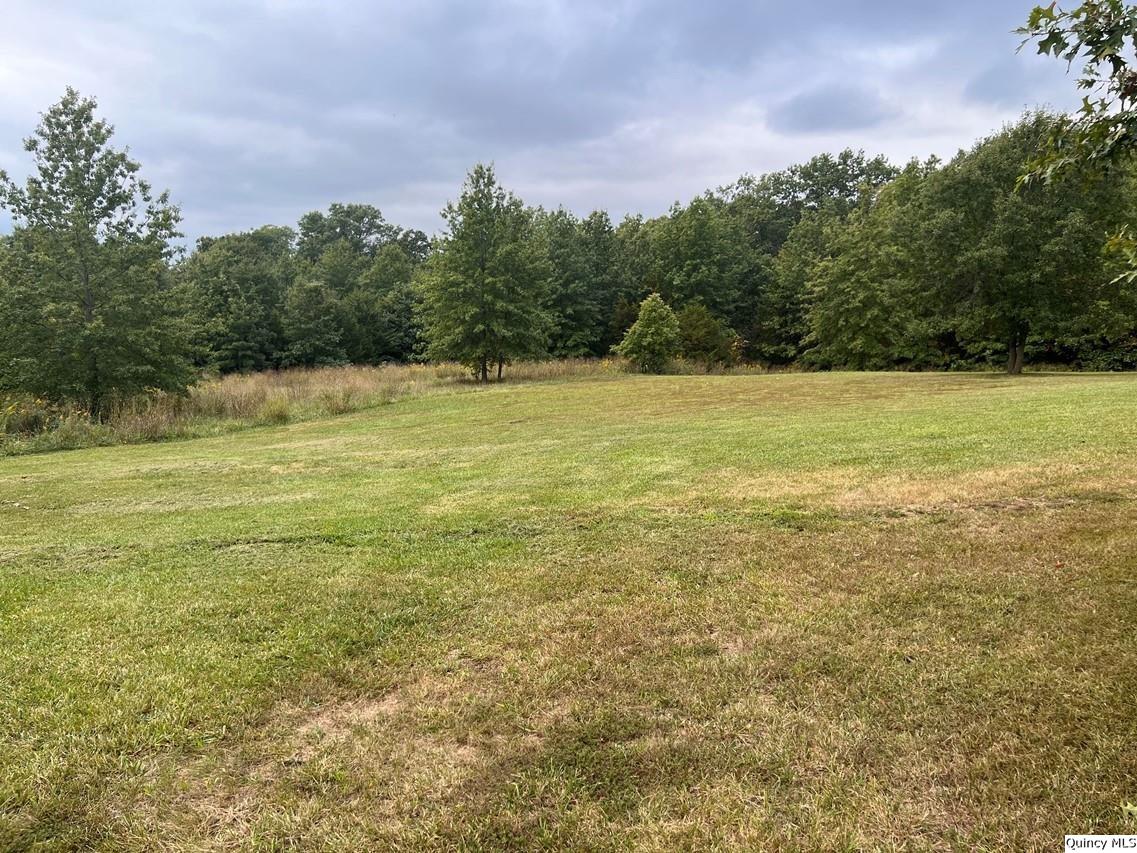 27028 County Road 219, Wyaconda, Missouri 63474 203014