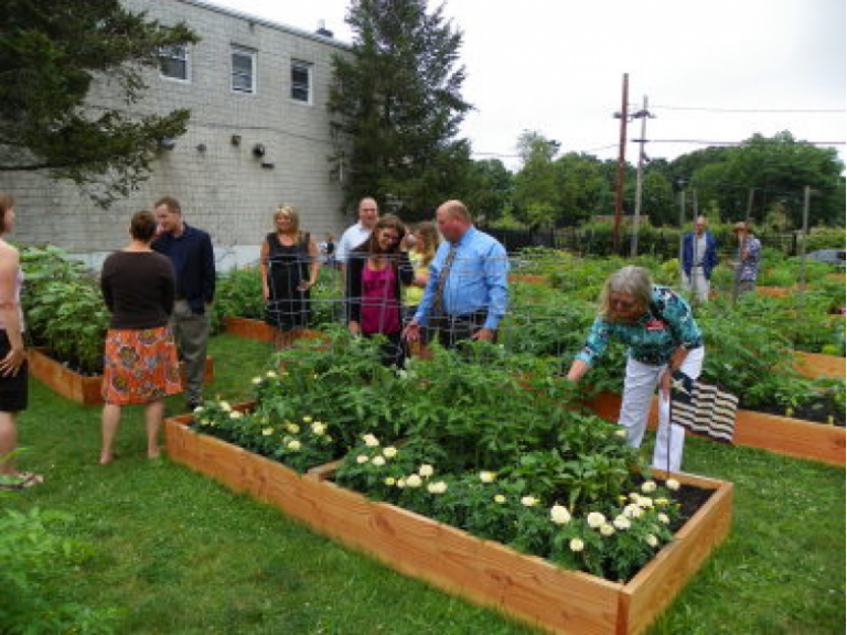 Various kinds of Community Gardens Zanon Lights Boost Home Resale