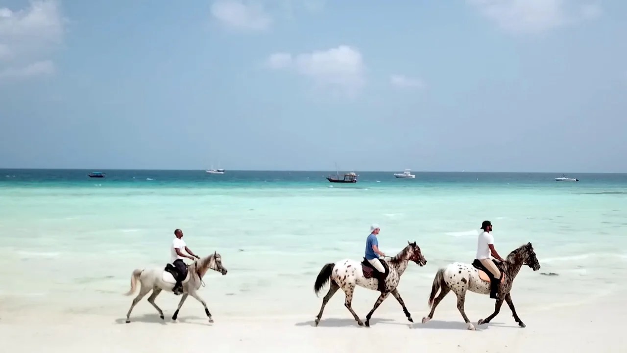 Horse Riding in Zanzibar Book Now!