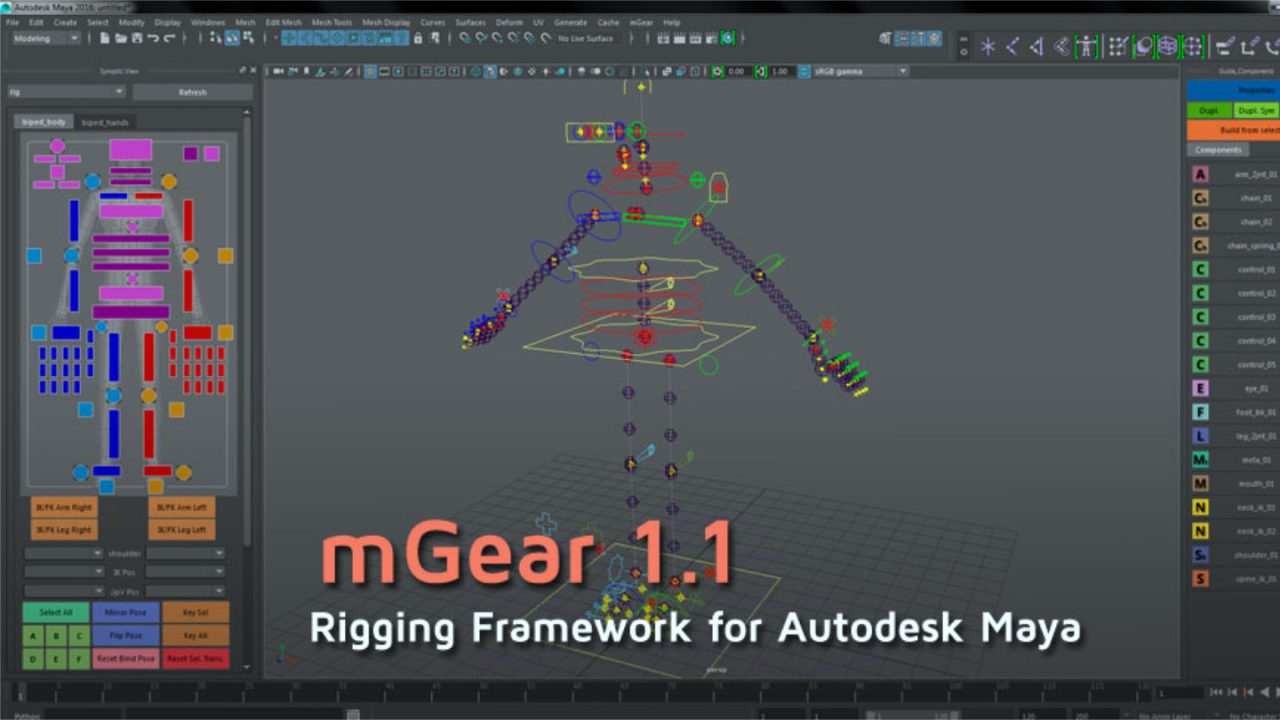 mGear 1.1, herramientas rigging para Maya Blog de Zao3D