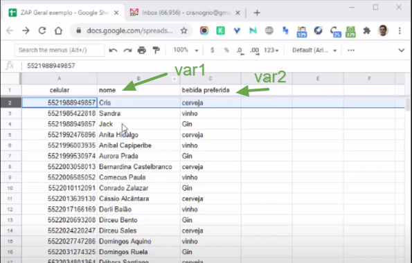 ZapGeral Disparador de mensagens personalizadas via Whatsapp como usar