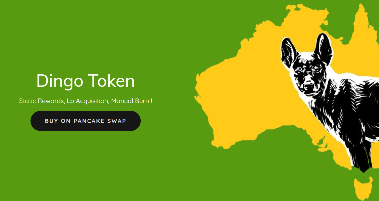 Dingo Token jako scam? zaplac.one i już!