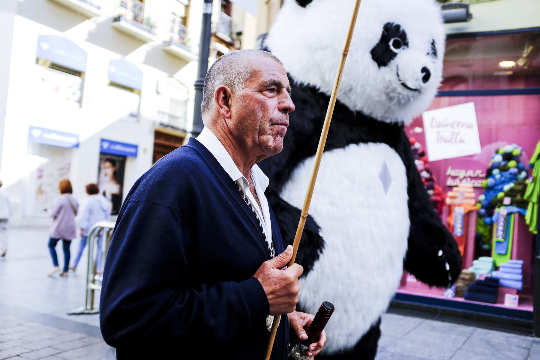 ZARAGOZA CALLE ALFONSO LOS DEL PALO Y UN PANDA