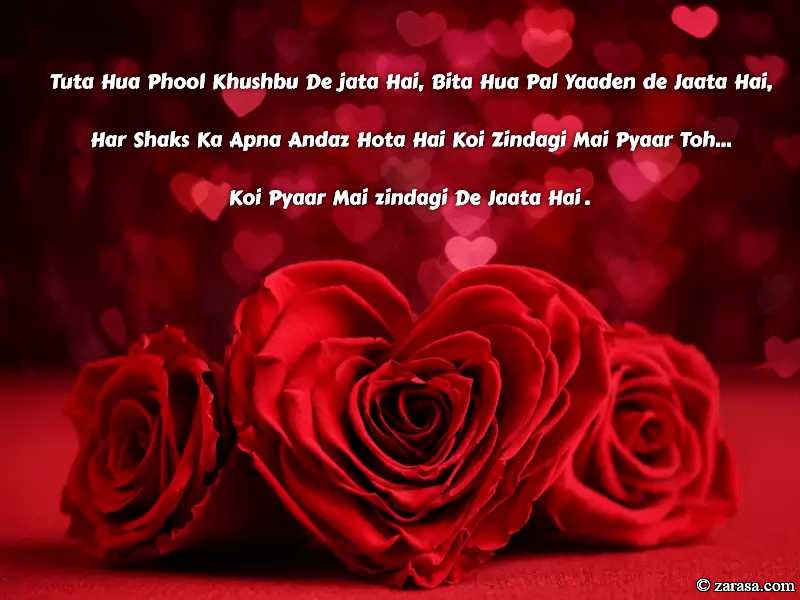 Shayari On Rose Flower In English Best Flower Site