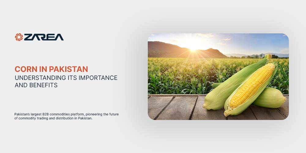 Corn in Pakistan Understanding Its Importance and Benefits Zarea
