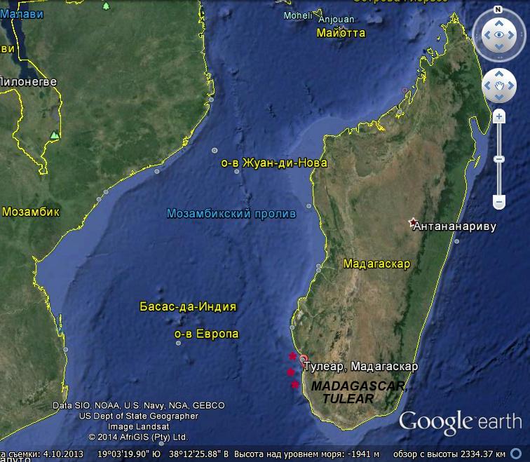 Les Défis De Voyager À Tulear Madagascar Carte Conidae Conus zulu SUPERB
