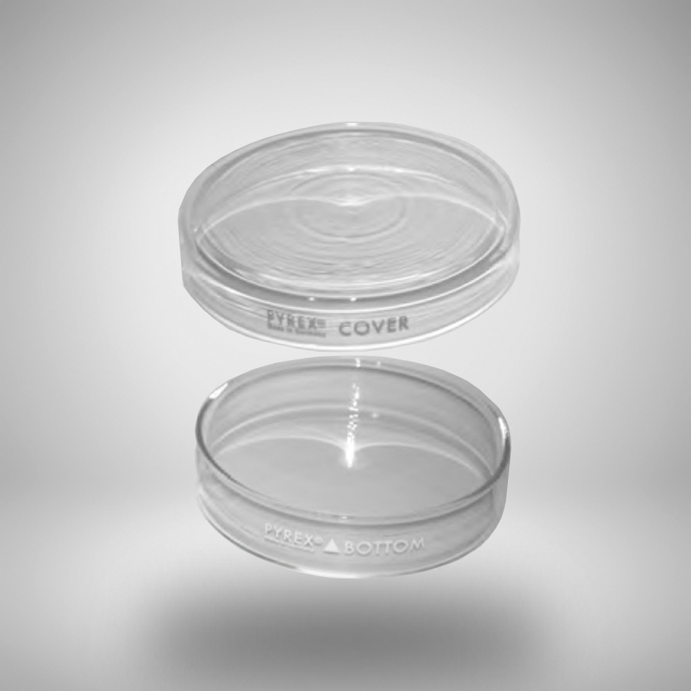 Pyrex Petri Dish Set » Zavimed Medical Equipment
