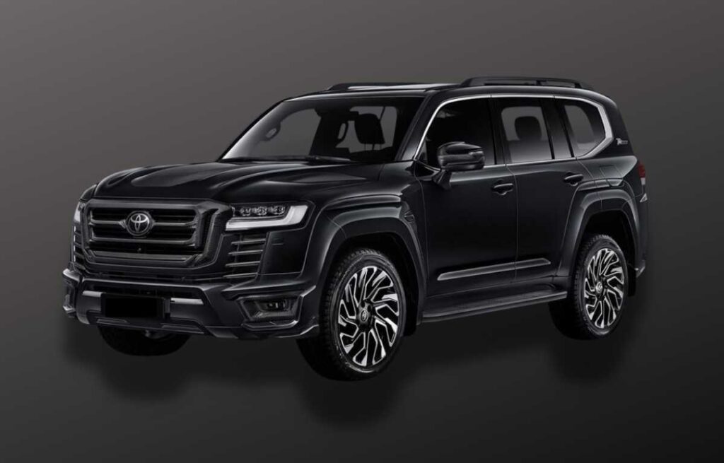 Home Zayed Tours & Rent a Car