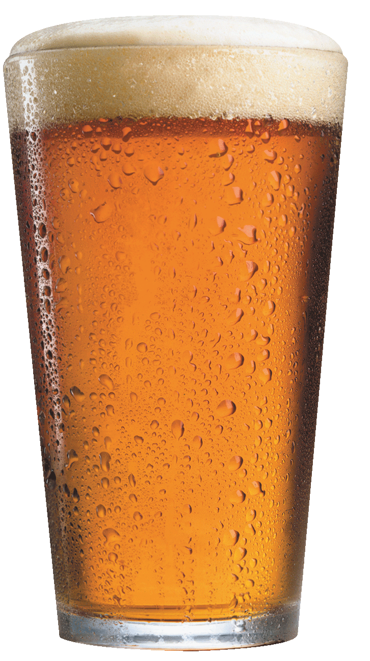 Beer Selection Zephyrhills Brewing Company