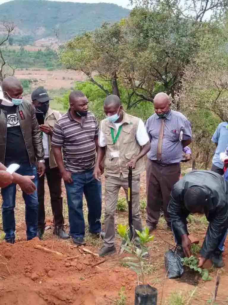 National Tree Planting Day ZCF