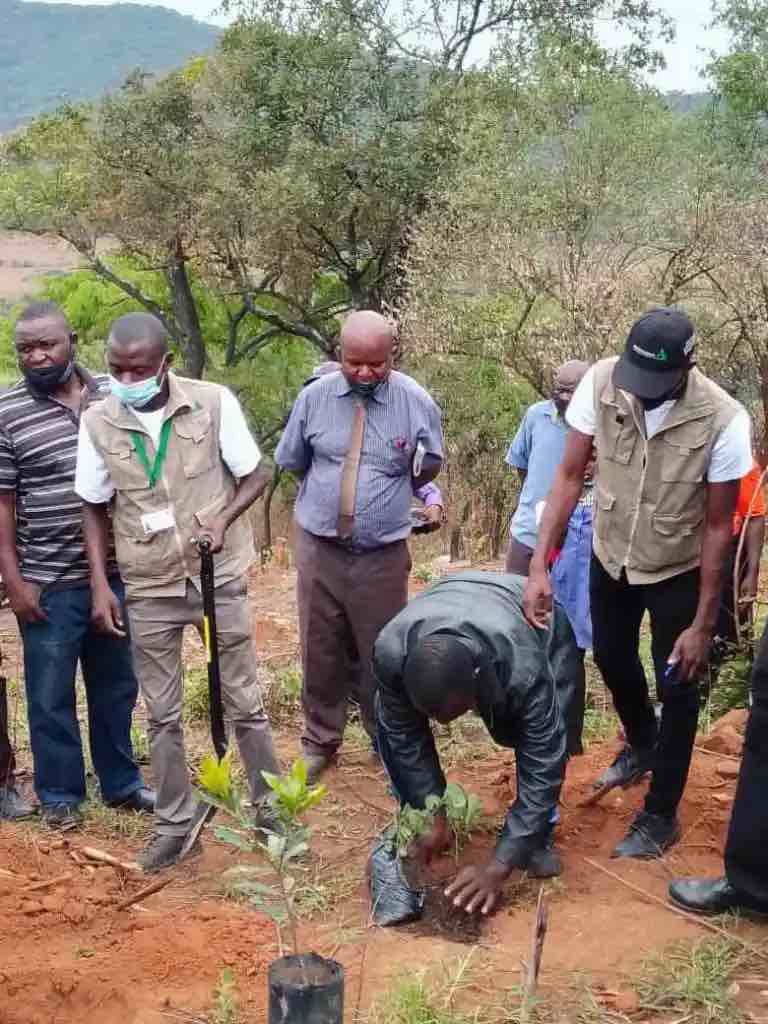 National Tree Planting Day ZCF