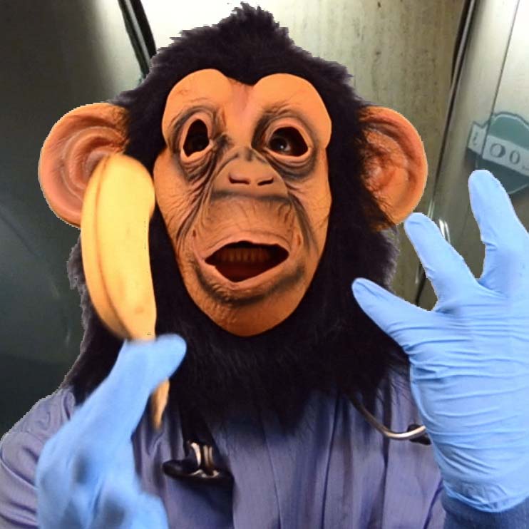 Doctor Bobo™ Primate Assistant A ZDoggMD Infomercial for the Primary