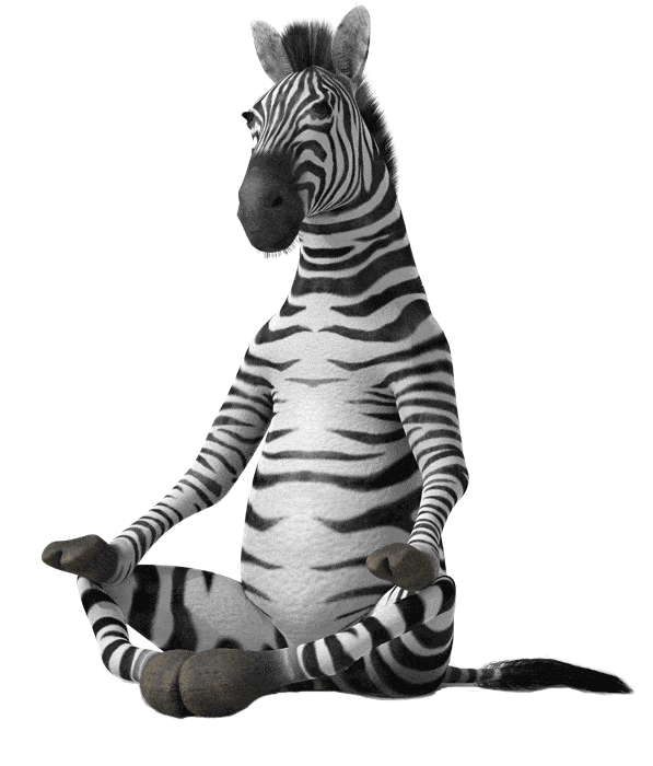 Find Zen Zebra Pen UK