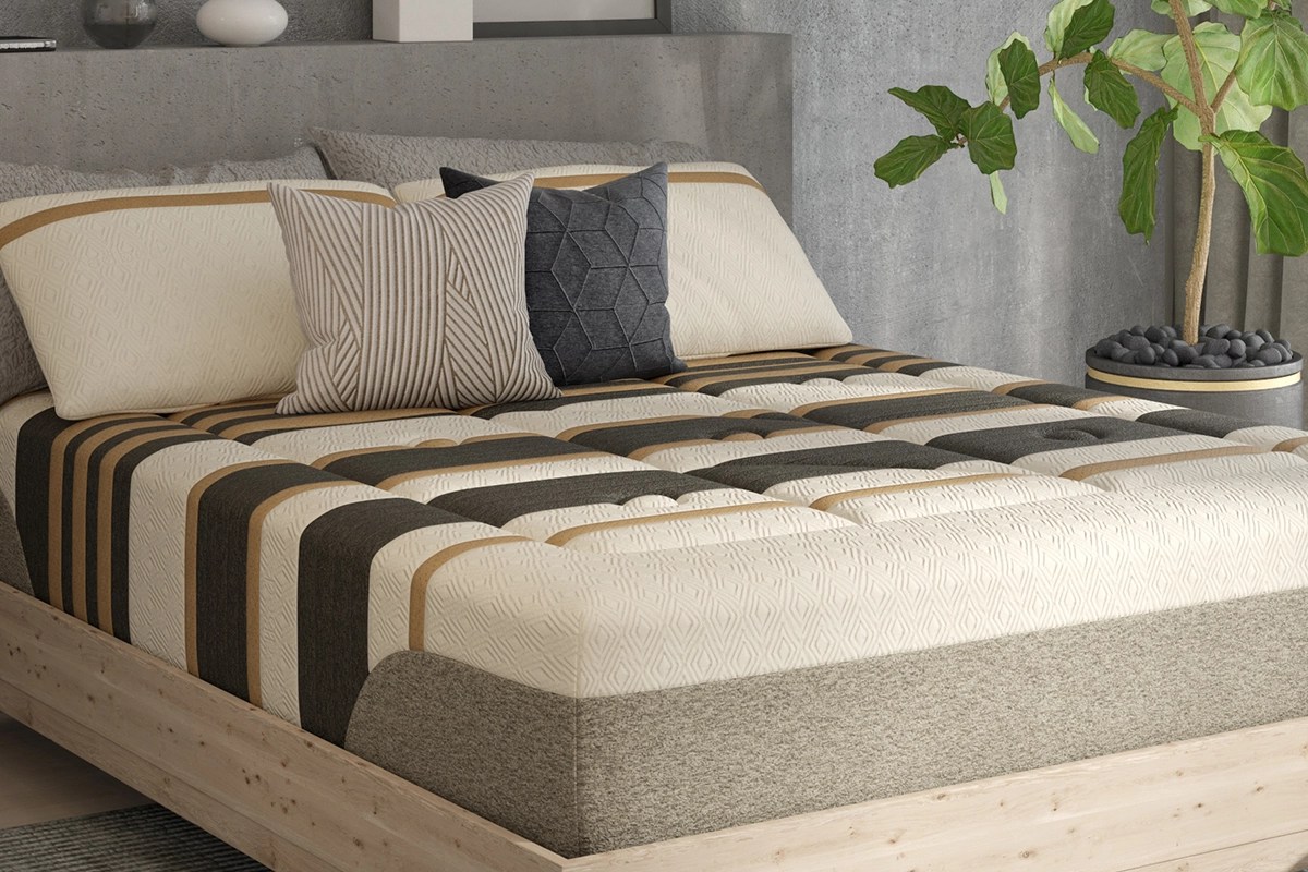 Trouvez un Zedbed ZedBed