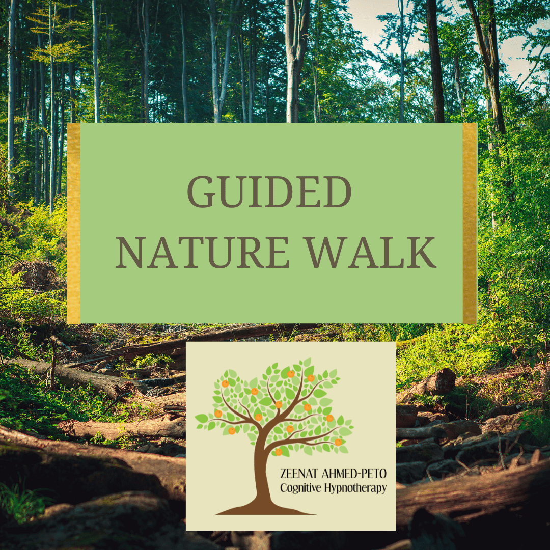 Guided Nature Walk Zeenat Ahmed Peto