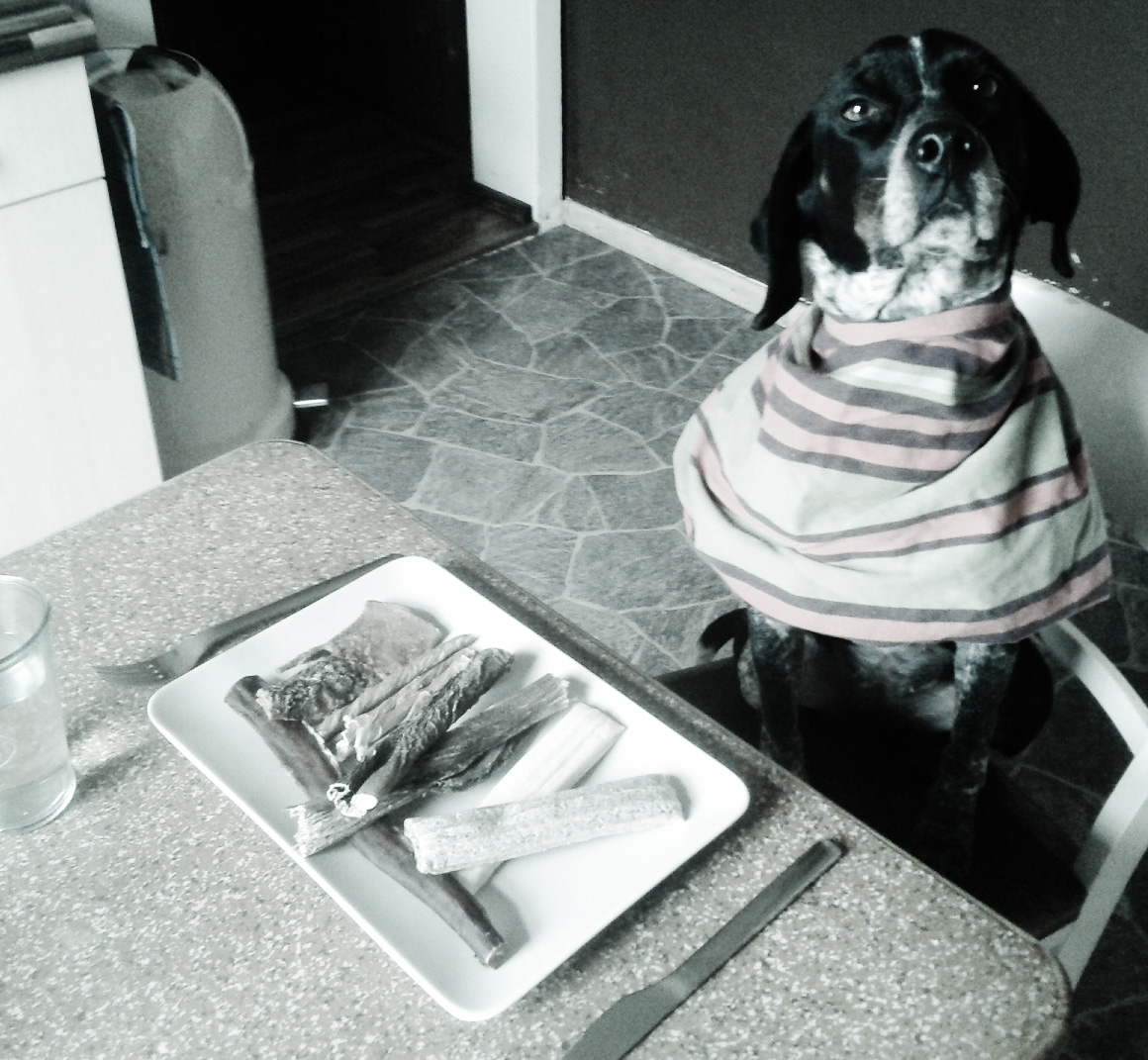Fraß und Aas › Hundetraining & Hundebetreuung Zehengänger GbR