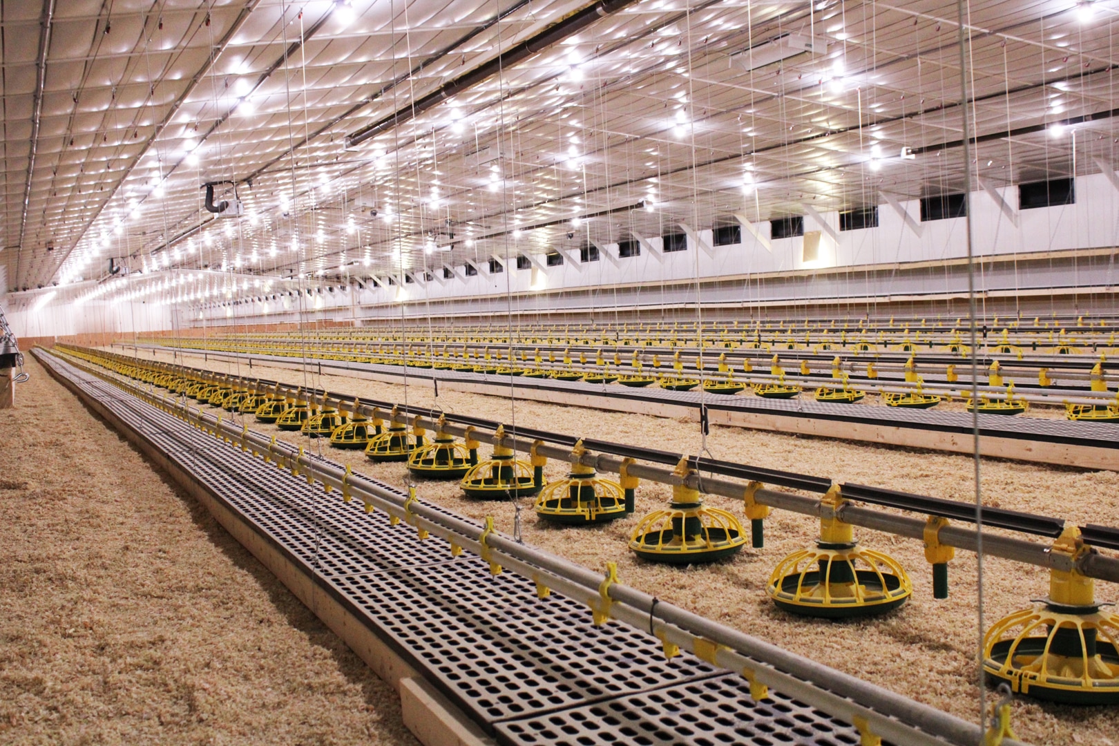 Pullet Zeiset Equipment