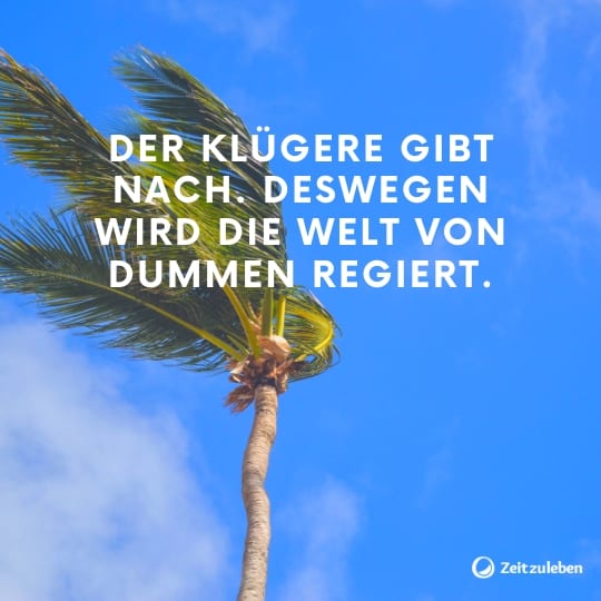 69 Lebensweisheiten, Die Dein Leben Besser Machen 540_x_540_jpg