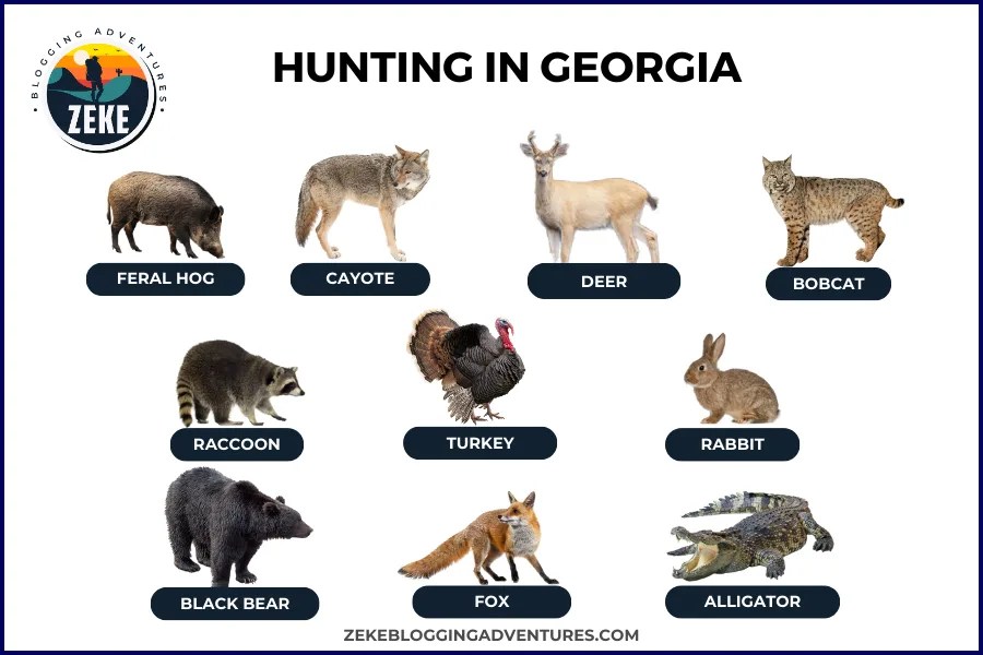 Hunting Season 2025 In Georgia Hunting in [Season Guide 2025] Zeke Adventure Blog