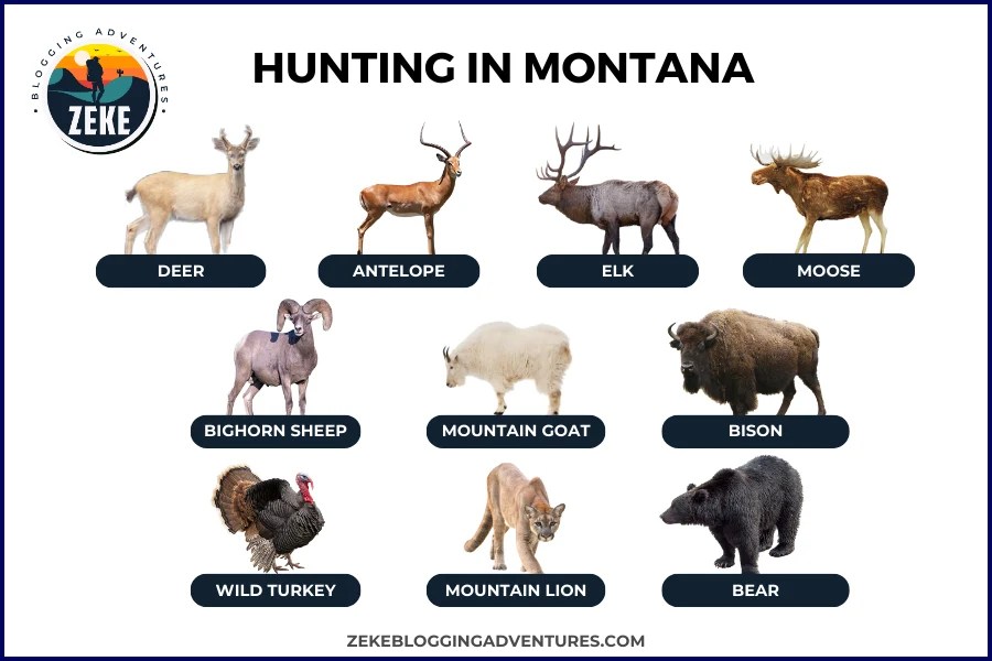 Montana 2025 Hunting Season Dates Hunting in Montana [Season Guide 2025 ] Zeke Adventure Blog