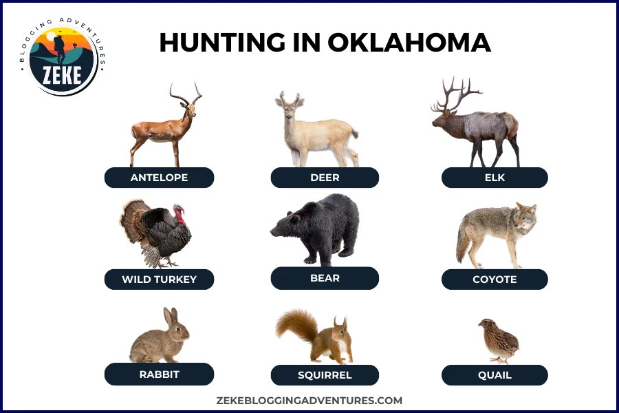 Hunting in Oklahoma [Season Guide 2024] Zeke Adventure Blog