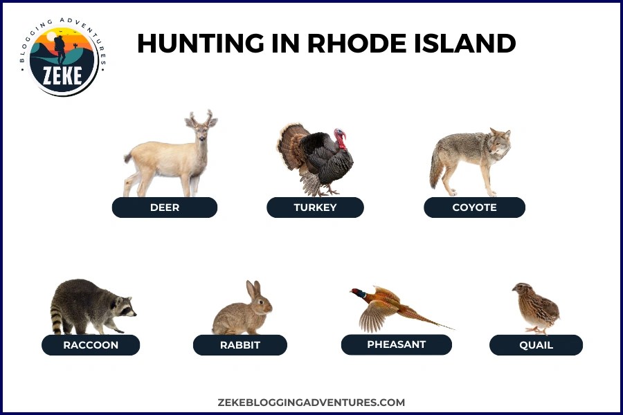 Hunting in Rhode Island [Season Guide 2024] Zeke Adventure Blog