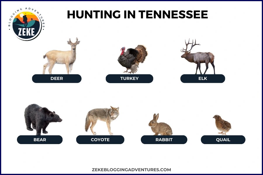 Hunting in Tennessee [Season Guide 2024 ] Zeke Adventure Blog