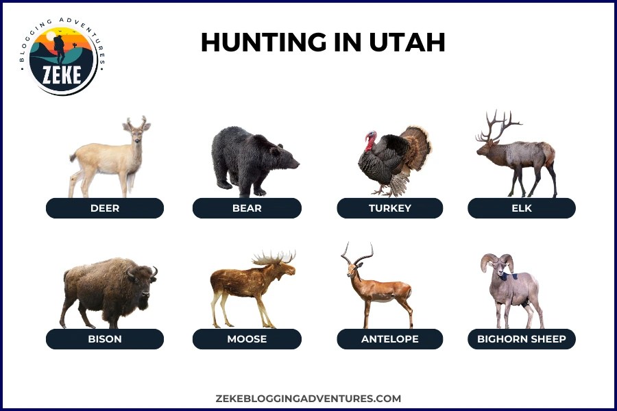 Hunting in Utah [Season Guide 2024] Zeke Adventure Blog