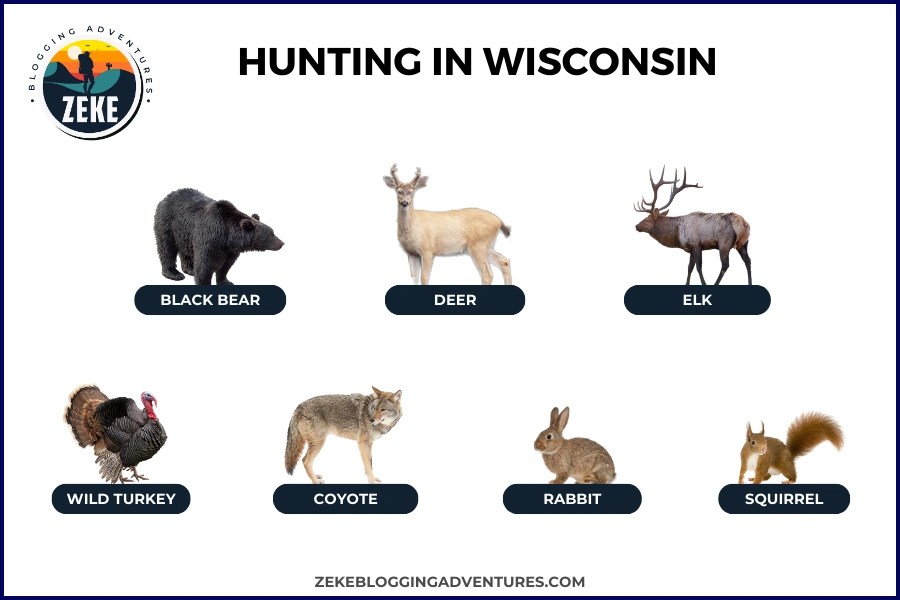 Hunting in Wisconsin [Season Guide 2023 ] Zeke Adventure Blog