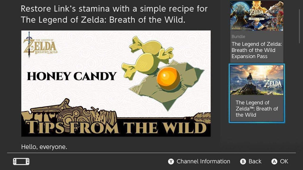 Courser Bee Honey available through Tips from the Wild Zelda Universe
