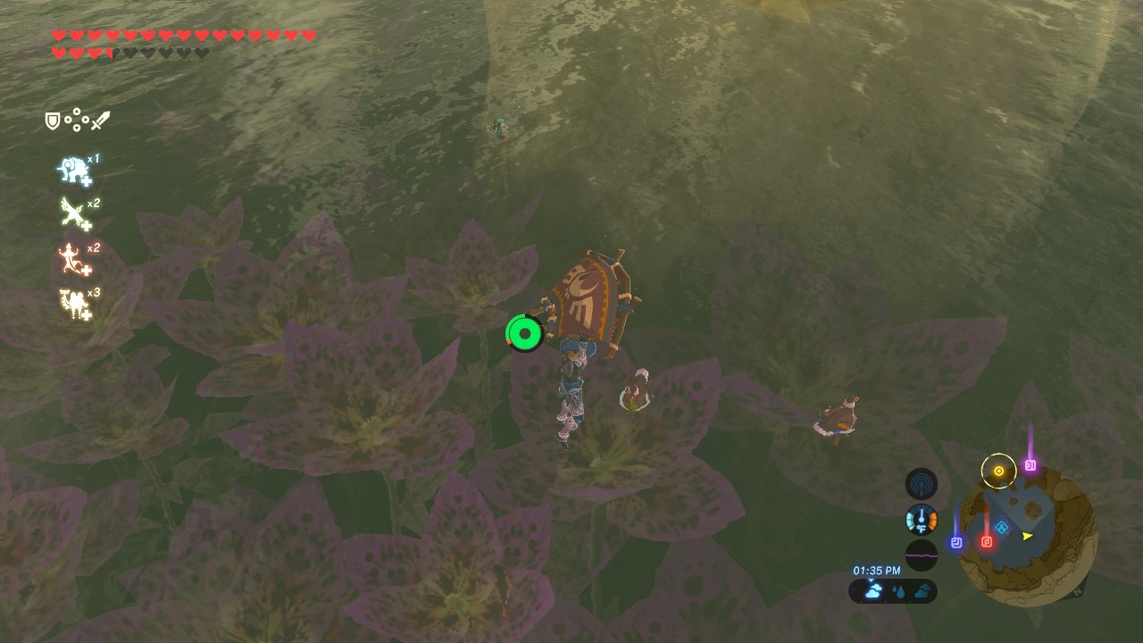 Tingle’s Maps Skull Lake Zelda Universe