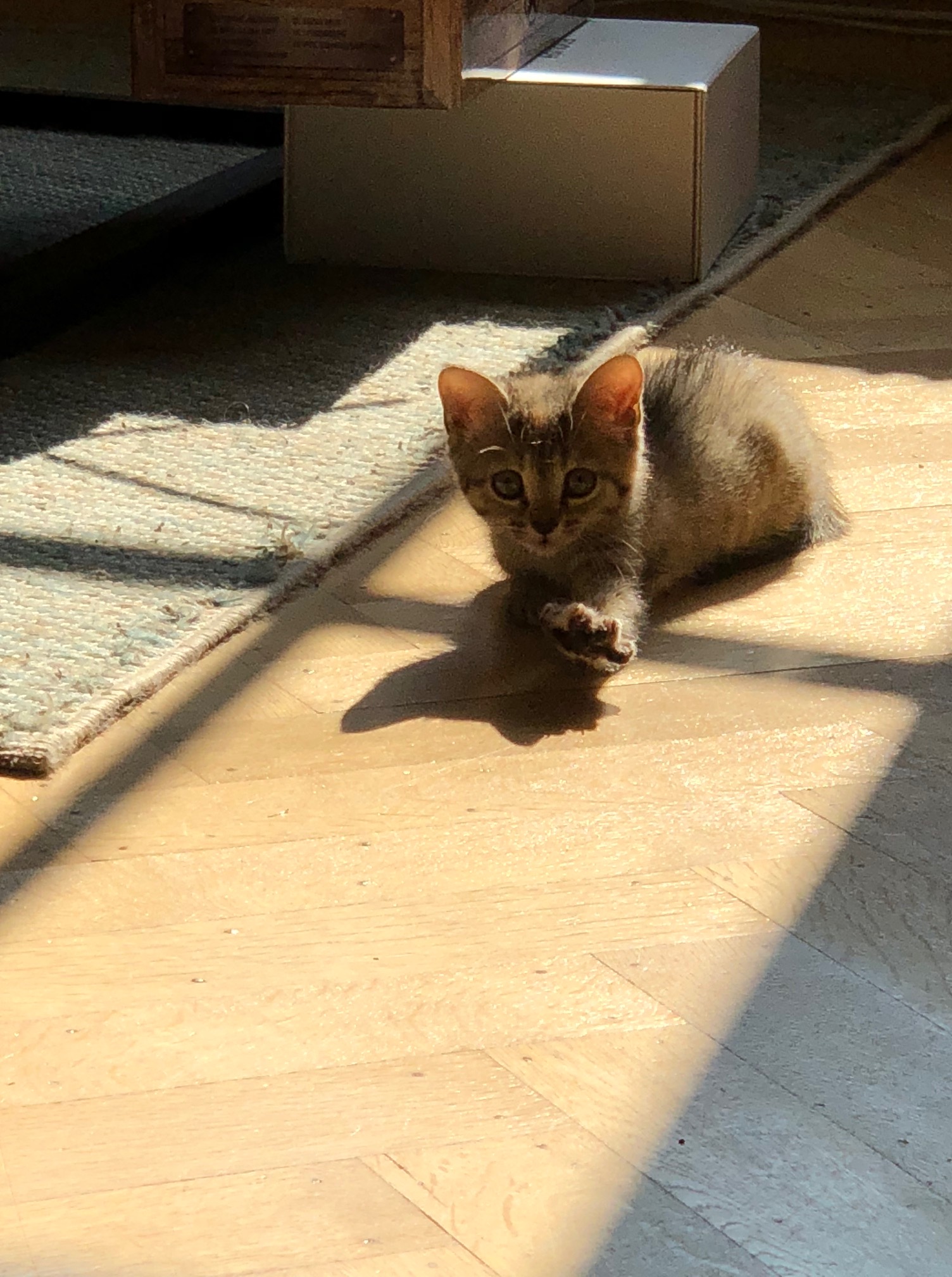 C’est la fin de l’été…..; Miss Zen