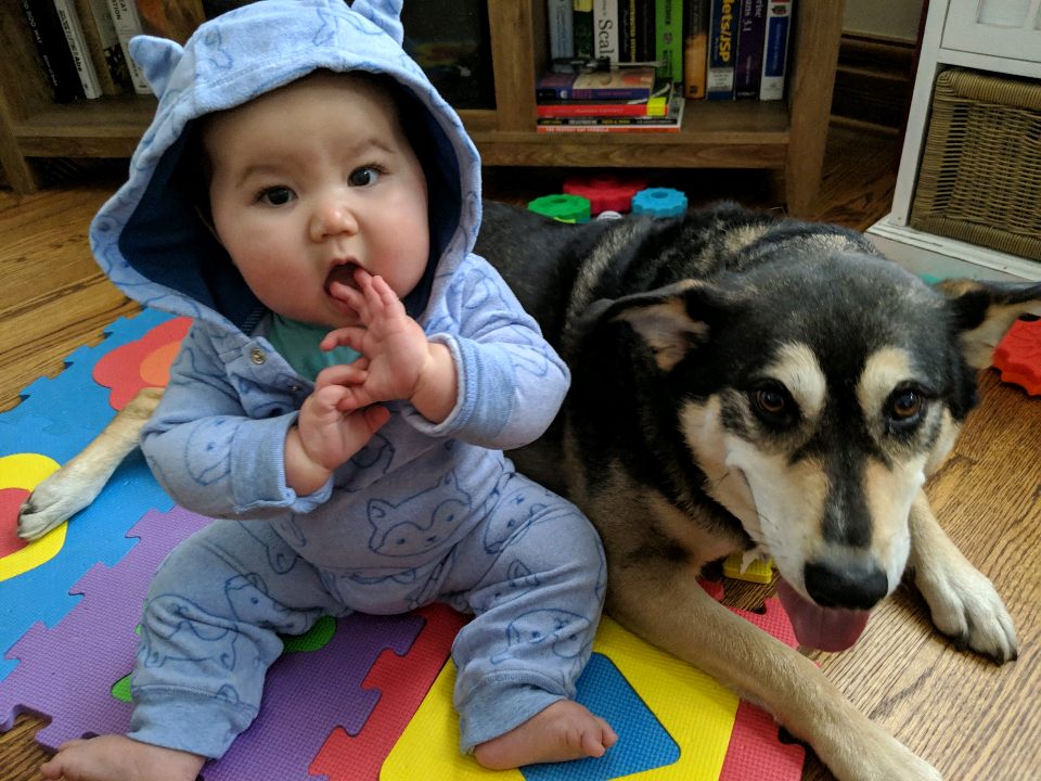 Help! My Dog is Obsessed With Me