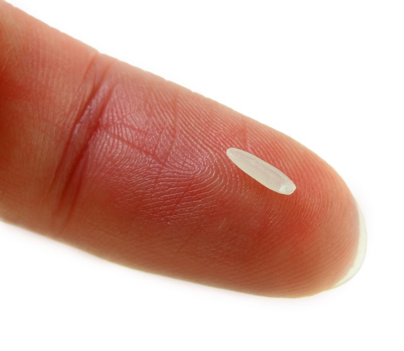 A Grain of Rice Zen Center of Denver