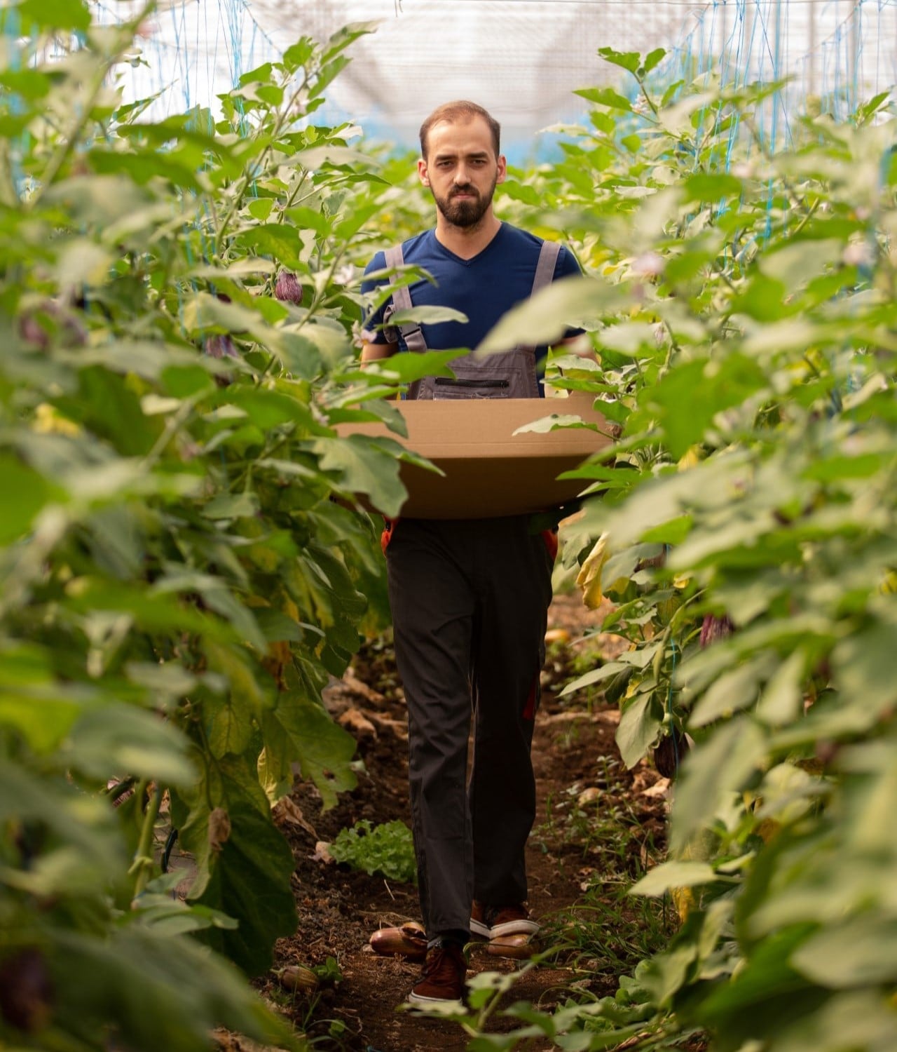 Zenith Tech Company site