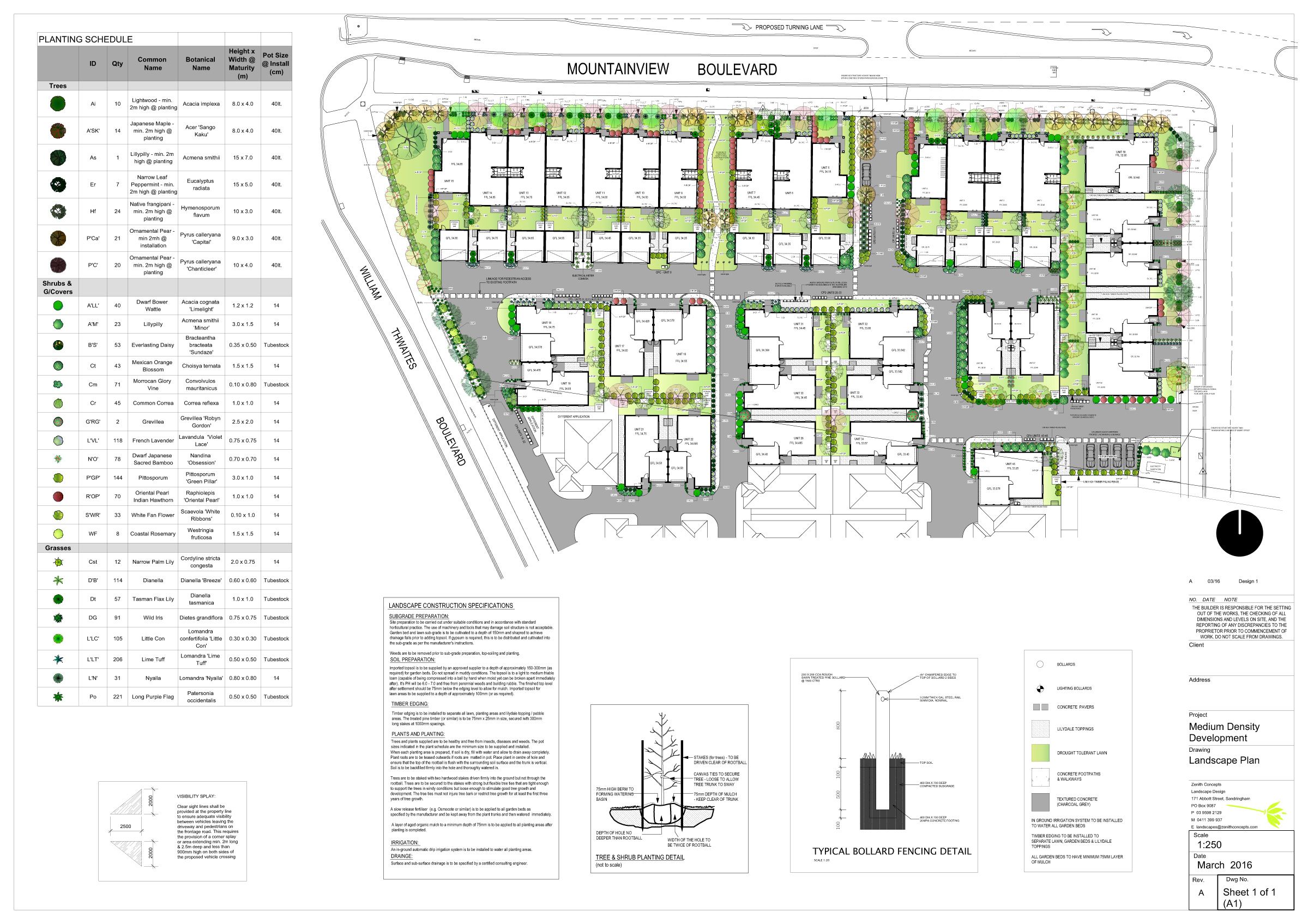 Medium Density Site Zenith Concepts